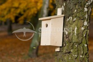 wieszanie na drzewie budki lęgowej dla ptaków