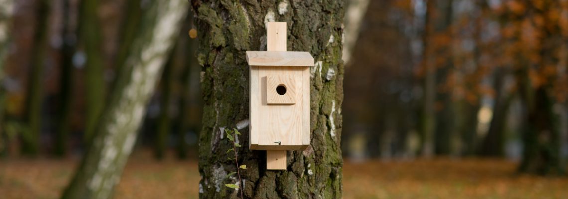 budka drewniana dla ptaków mocowana do drzewa