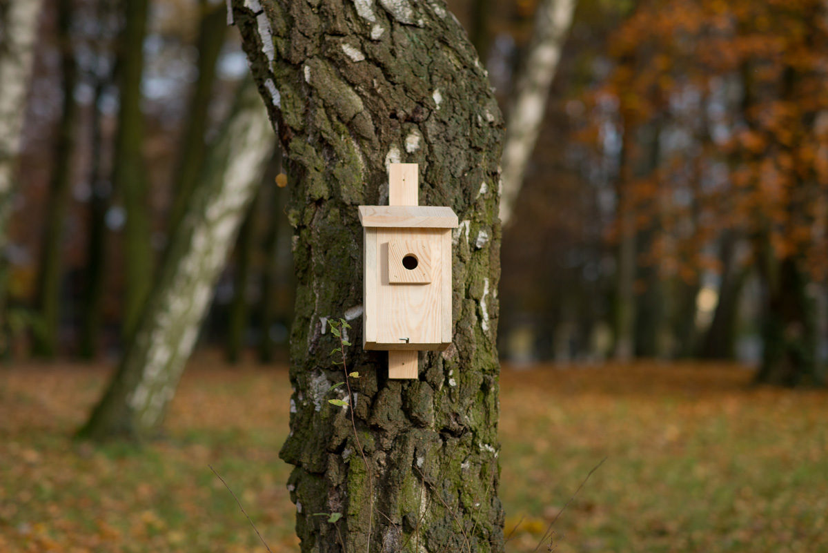 budka drewniana dla ptaków mocowana do drzewa